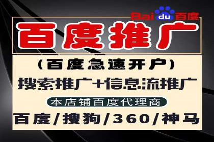某公司信息流广告的精准投放与效果评估